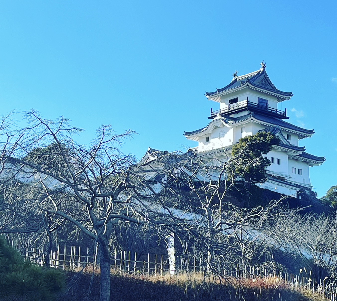 掛川城(静岡県掛川市)— 社名の由来となった掛川大祭の地